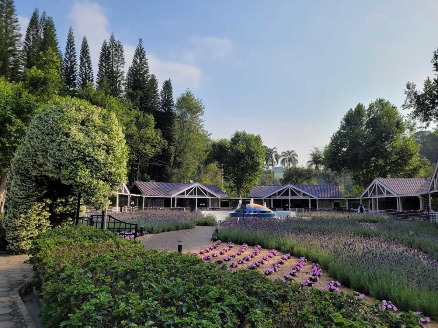 Unique Garden Hotel Mairiporã Værelse billede